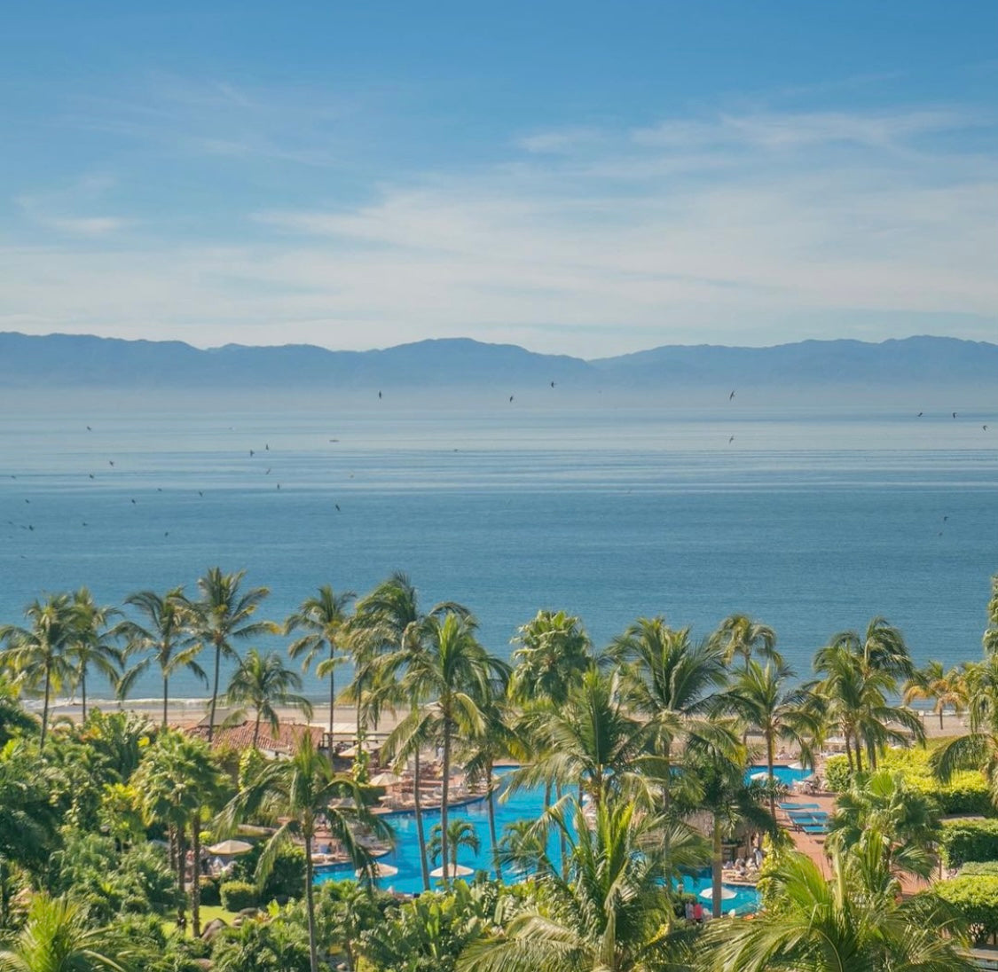 Velas Vallarta, Marina Vallarta