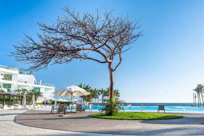 Aria Ocean 714